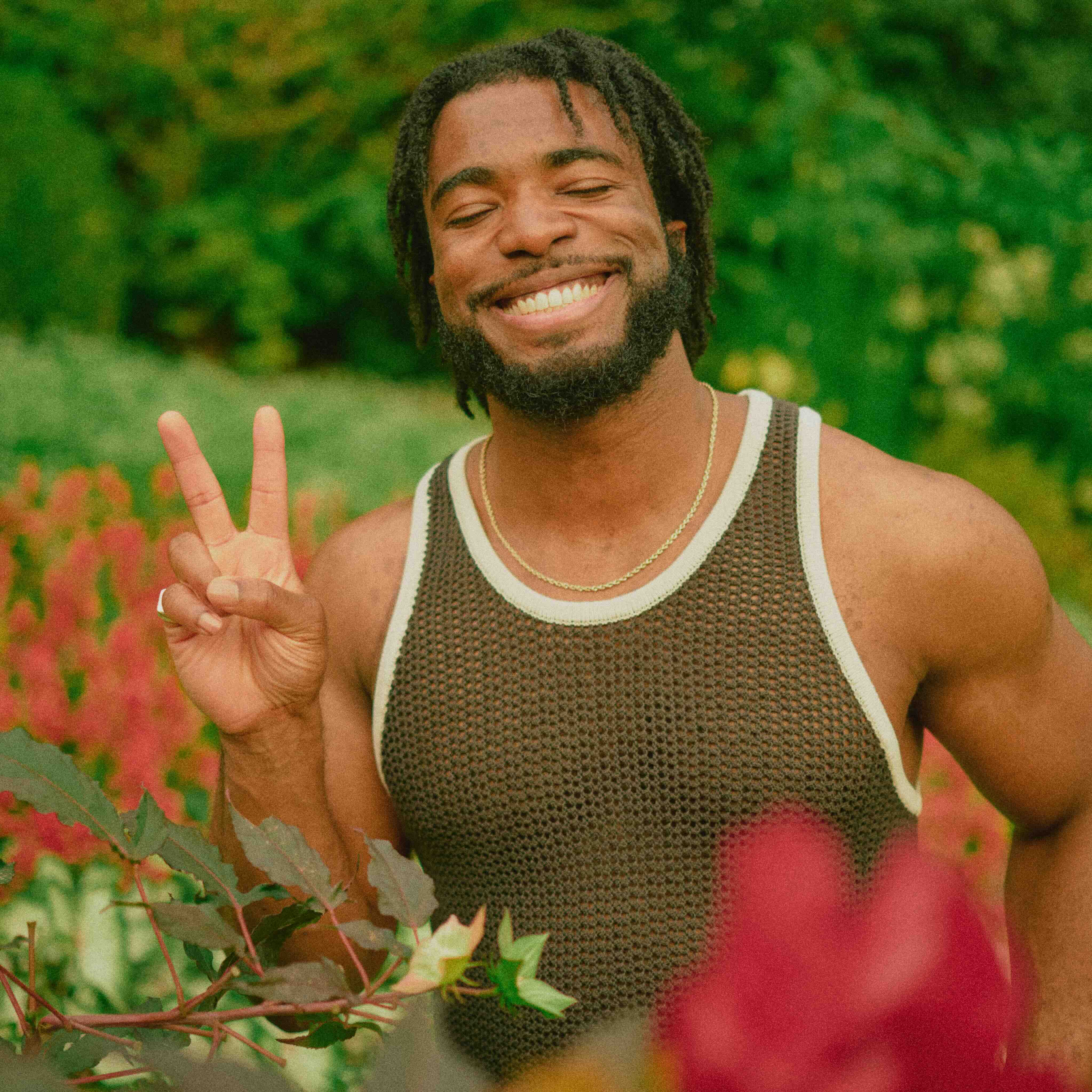 Reflections of a Dandelion cover art