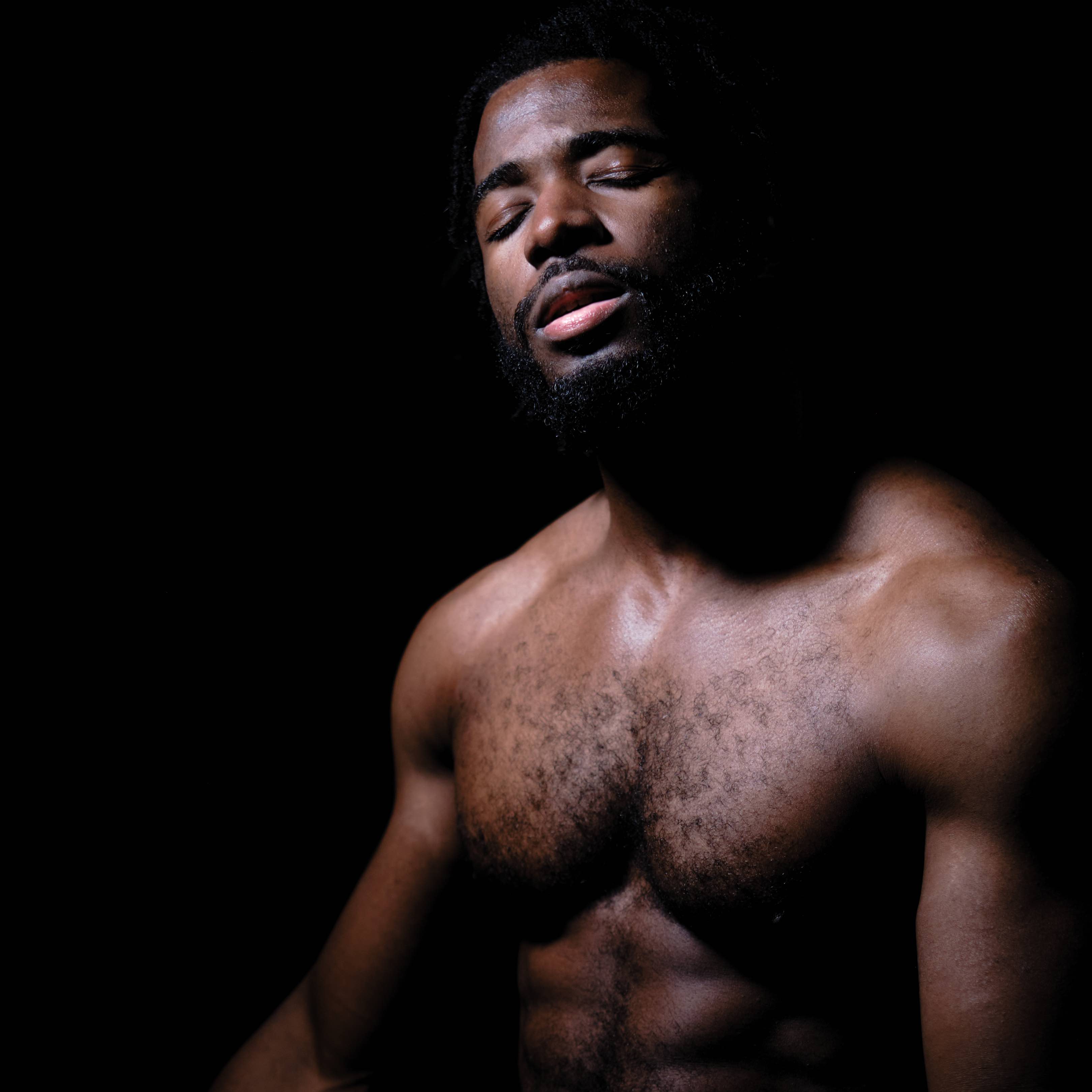 The Awakening cover art